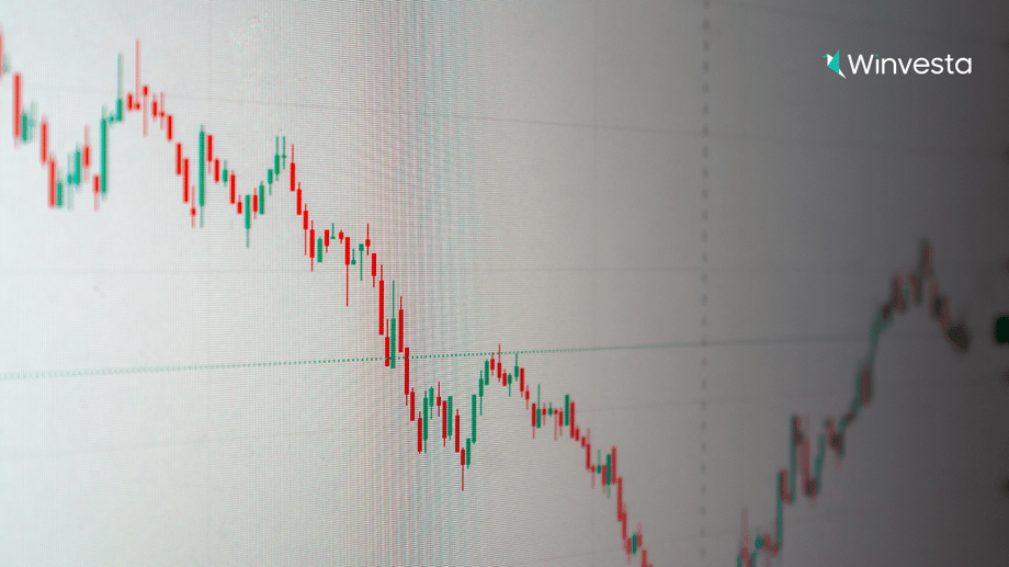 US healthcare stocks: 2025 outlook